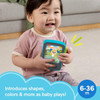 Toy Fisher-Price Puppy’s Pretend Tablet