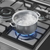 STOVE 5 BURNER SAMSUNG NX52D3000MV/AX