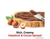 NUTELLA FERRERO HAZELNUT SPREAD WITH COCOA 26.5oz 750g 2PCS PACK