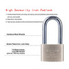 PADLOCK BLOSSOM 60MM CP IRON HWP-LS3260L
