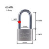 PADLOCK BLOSSOM 60MM CP IRON HWP-LS3260L
