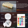 2BANANAS Hedgehog 3D Optical Illusion 16 Colors Night Light Table Lamp with Luminous Base, Remote Control for Sonic Fans