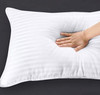 Pillow Utopia Premium Plush 2 Pack Cotton Queen Size 20 x 28 Inches