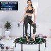 Trampoline Mini for Adults DARCHEN 450 Pounds indoor for training fitness gives a quiet and safe bounce 40 inch