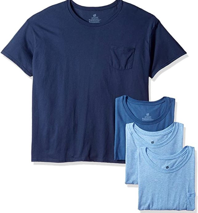 Men Hanes T-shirt Assorted colors 4pack Tagless Ally Sons