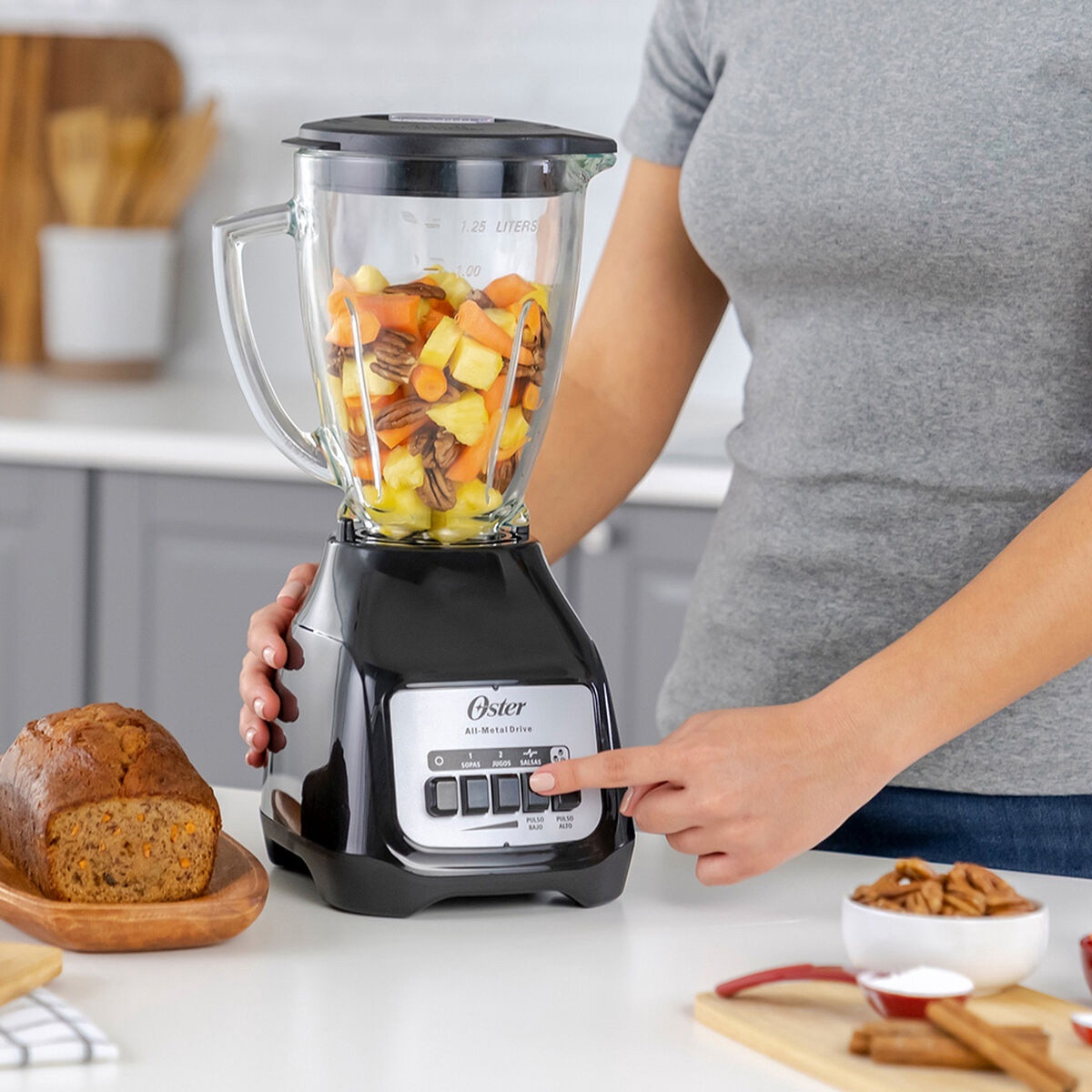 Stainless Steel Oster 12 Speed Blender Parts Oster 16-Speed