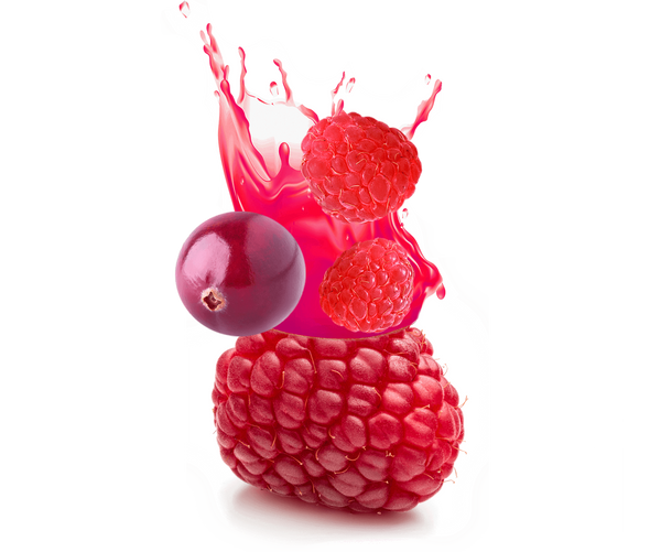 FRUTA PREMIUM JUICE CRANBERRY RASPBERRY CAN 10.7fl oz 315ml