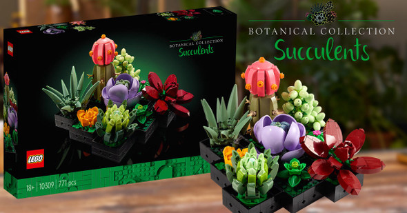 https://cdn11.bigcommerce.com/s-mivyx18b6b/images/stencil/590x590/products/44291/88169/LEGO-Botanical-collection-Succulent-10309__64496.1704059665.jpg?c=1