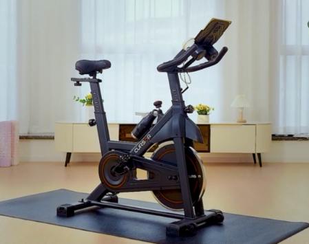 Gym Exercise Bike Cursor Stationary CBE20