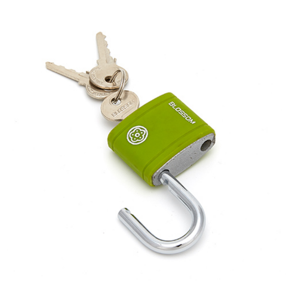 PADLOCK BLOSSOM 50MM WEATHERPROOF GWP-BX0150 PADLOCK BLOSSOM 50MM WEATHERPROOF GWP-BX0150