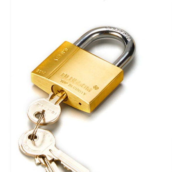 PADLOCK BLOSSOM 30MM BRASS HEAVY GWP-BC-0430 PADLOCK BLOSSOM 30MM BRASS HEAVY GWP-BC-0430