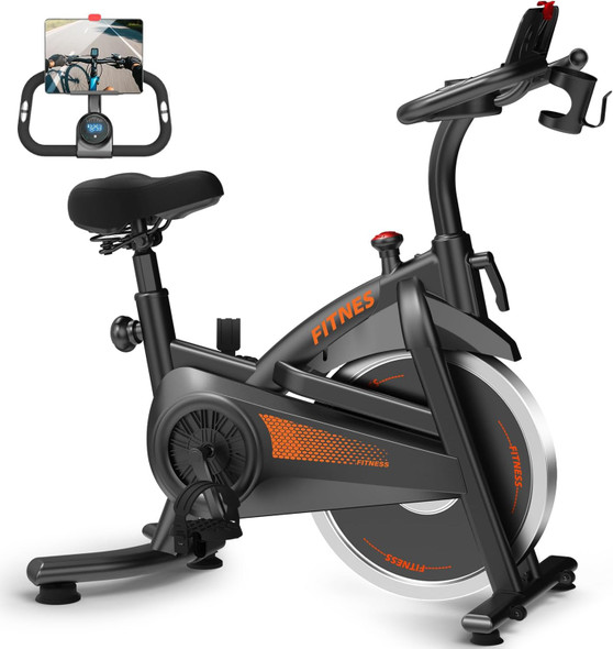 Gym Exercise Bike Cursor Fitness Stationary CBE10