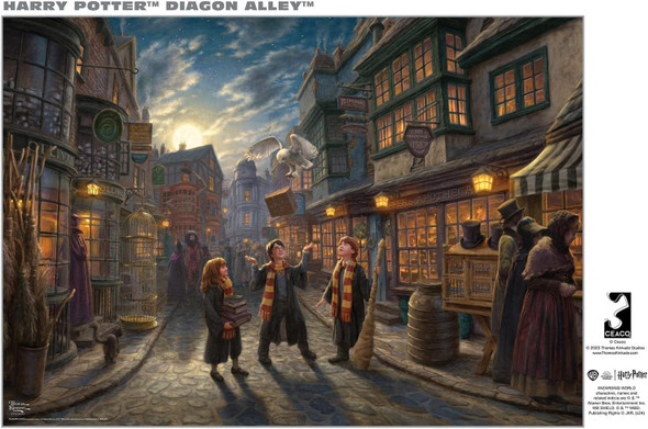 Puzzle Jigsaw Buffalo Games Harry Potter Diagon Alley 500pc