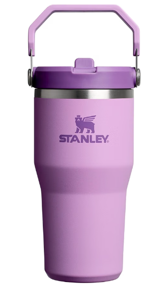 Travel Mug Stanley IceFlow 2.0 Flip Straw Tumbler 20oz