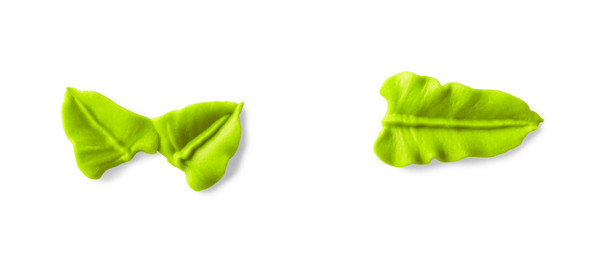 BAKING WILTON TIP #67 418-67 BAKING WILTON TIP #67 418-67