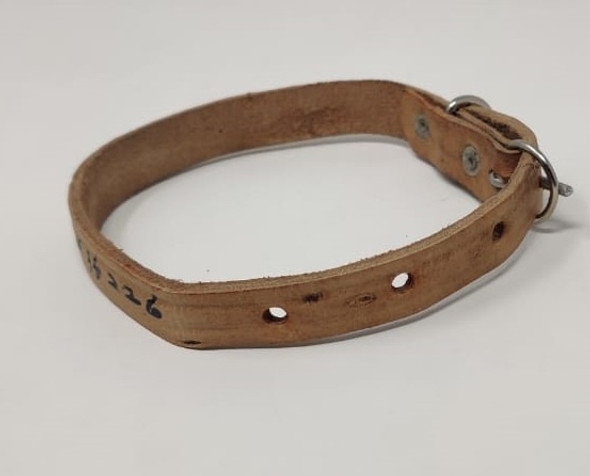 DOG COLLAR LOCAL LEATHER 3/4" WIDTH ANY LENGHT