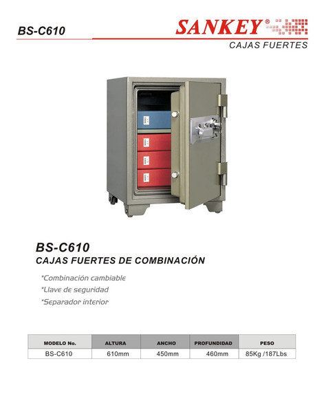 SECURITY SAFE DIGITAL SANKEY BS-C610