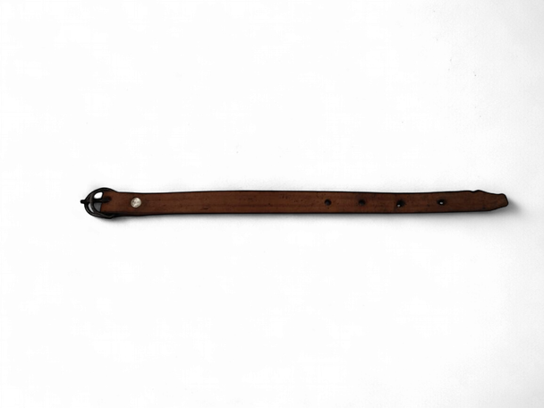 DOG COLLAR LOCAL LEATHER 14" X 5/8" WIDTH