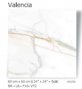 TILE CERAMIC 24X24 (60X60CM) VALENCIA