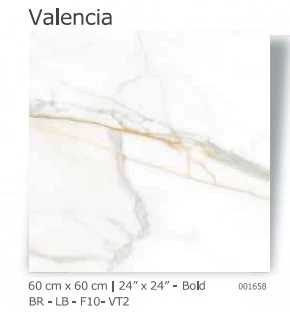 TILE CERAMIC 24X24 (60X60CM) VALENCIA