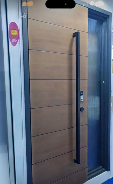 DOOR METAL BROWN WOOD PANELS  WITH 1 SIDE PANEL DKG3