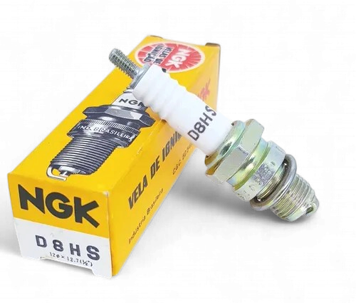SPARK PLUG D8HS NGK