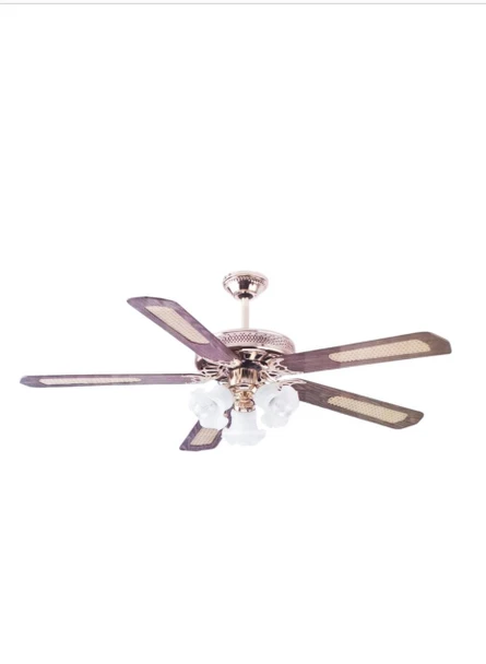 FAN CEILING 52" REVELATIONS RV-13888 POLISH BRASS 220V WITH LIGHT