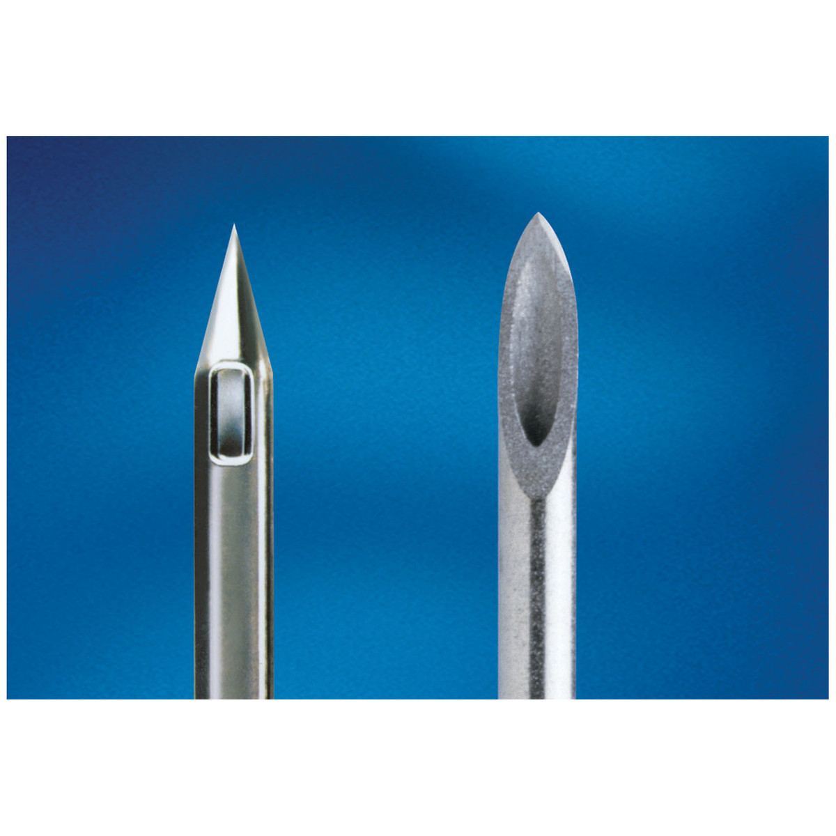 Bd Quincke Spinal Needles (10137_405081)