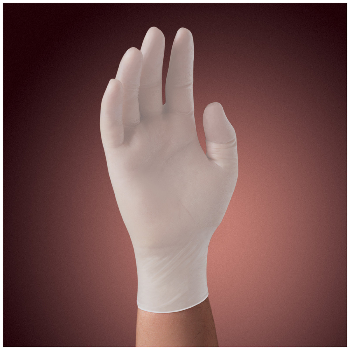 Halyard Vinyl Powder-Free Stretch Exam Gloves (10137_50032)