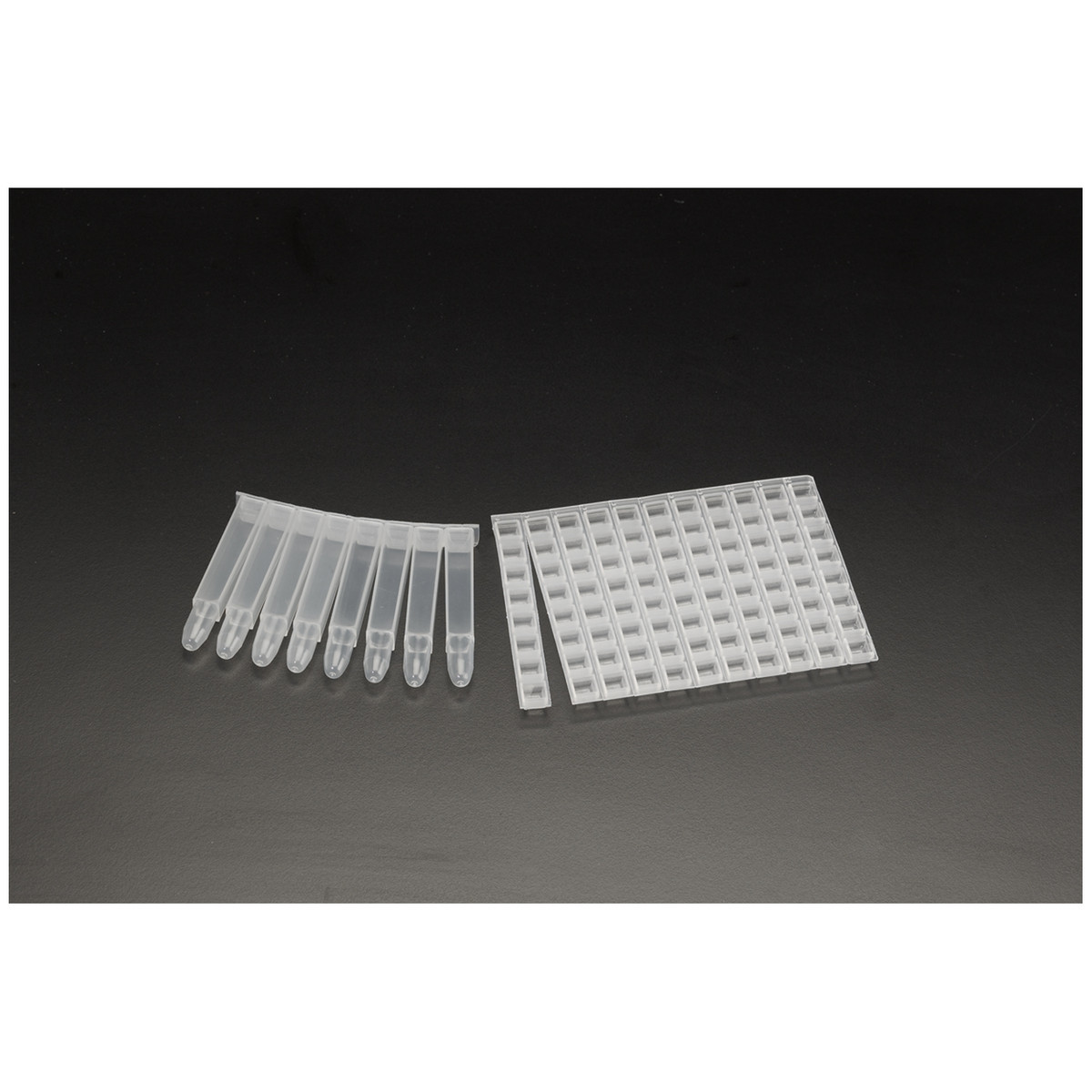 Simport Biotube Storage Racks (10137_T105-20)