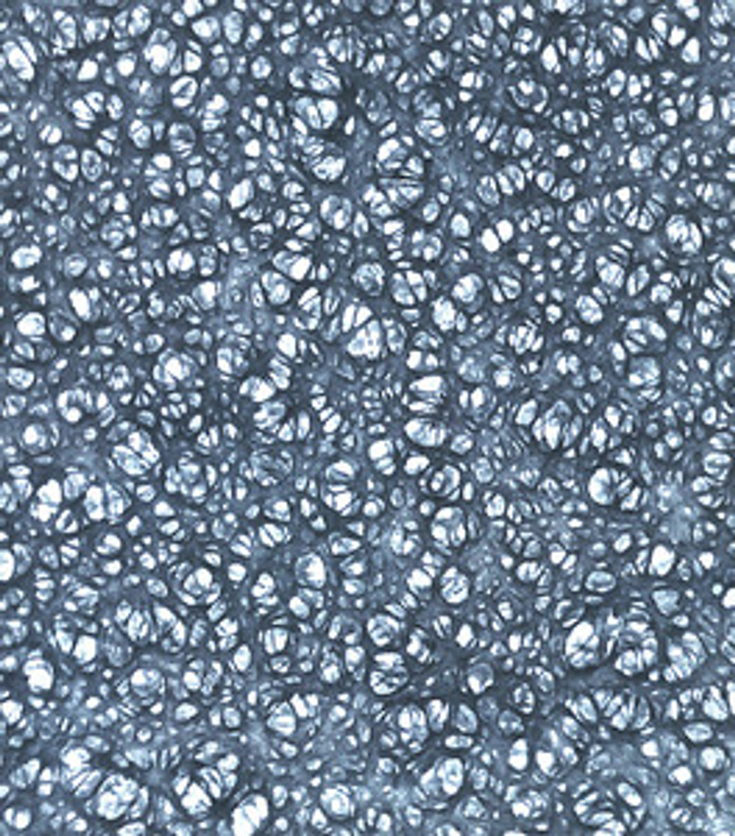 Cytiva Pall Versapor Membrane Disc (10137_12144)
