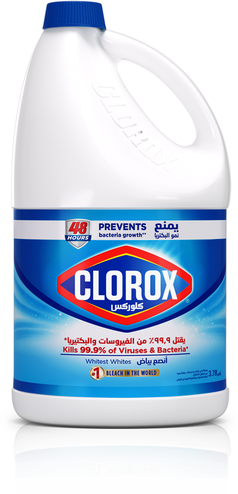 Clorox Bleach