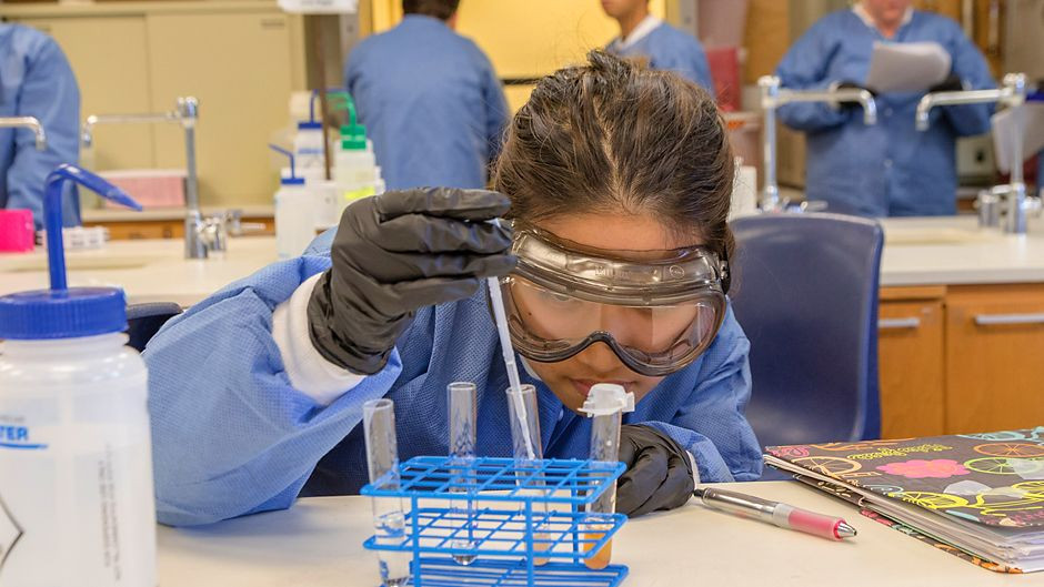 Ge Medical Ms Clinical Lab Support