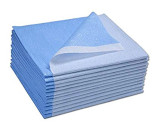 Avalon Papers Stretcher & Bed Sheets 1 Ply Tissue + Poly