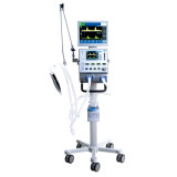 Medtronic Newport Ventilators & Accessories (10137_FLS2101P-C)