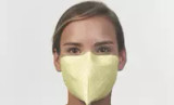 Peerless Medical N95 Strapless Face Mask (10137_N1906-S-50)