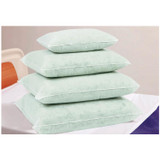 Encompass Personal Pillows