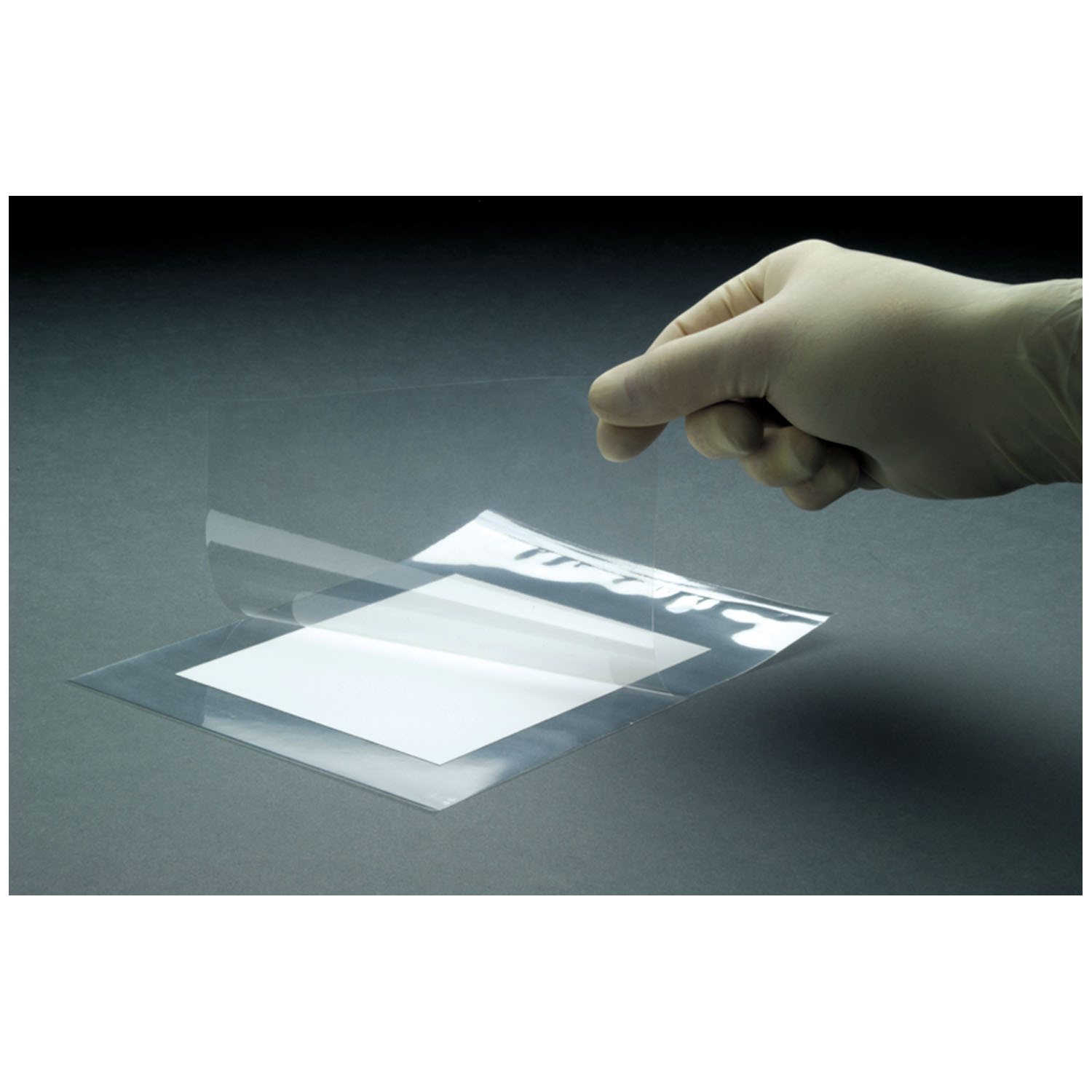 Cytiva Blotting Accessories
