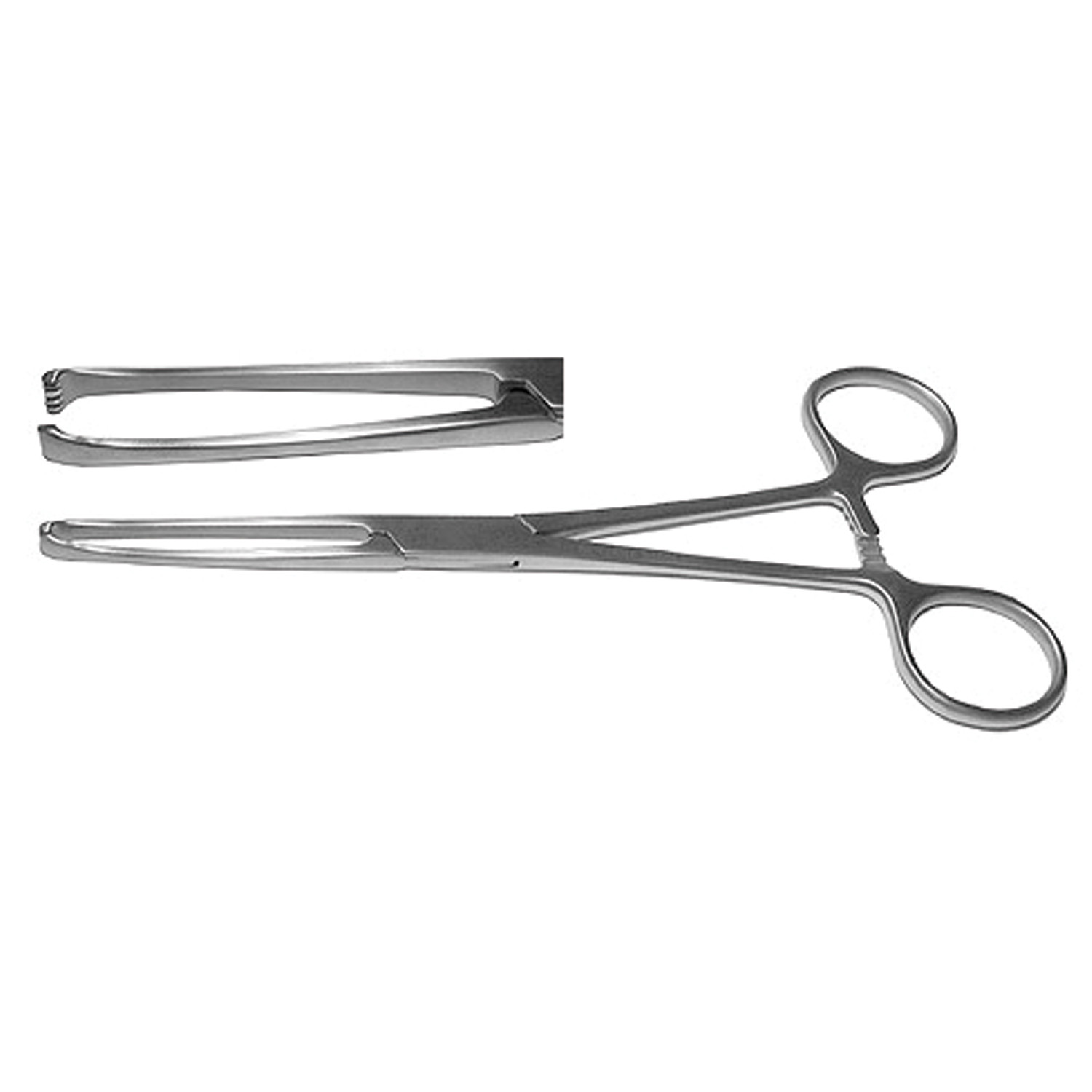 Pmd Or Grade Allis Tissue Forceps