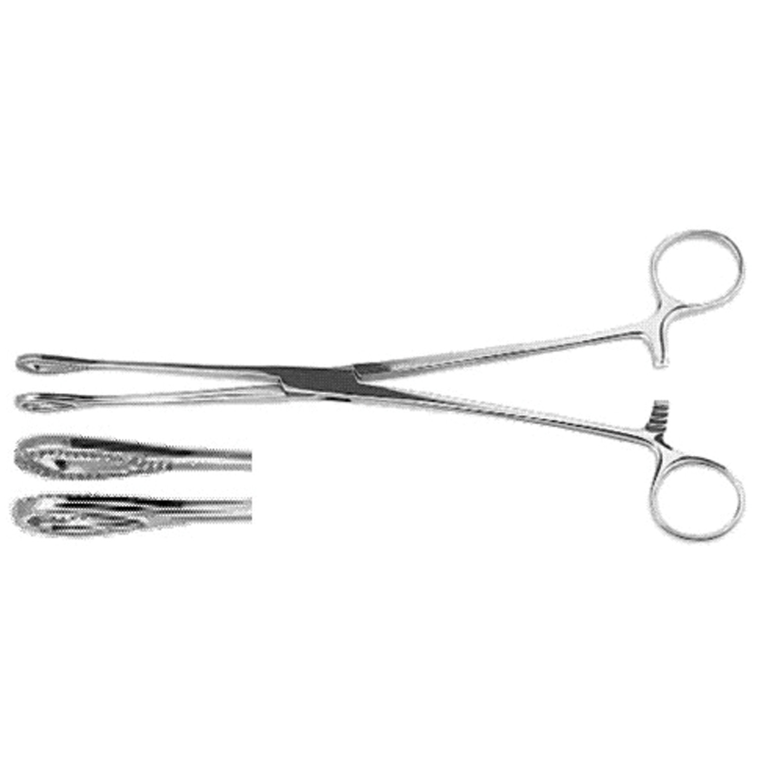 Pmd Or Grade Foerster Forceps