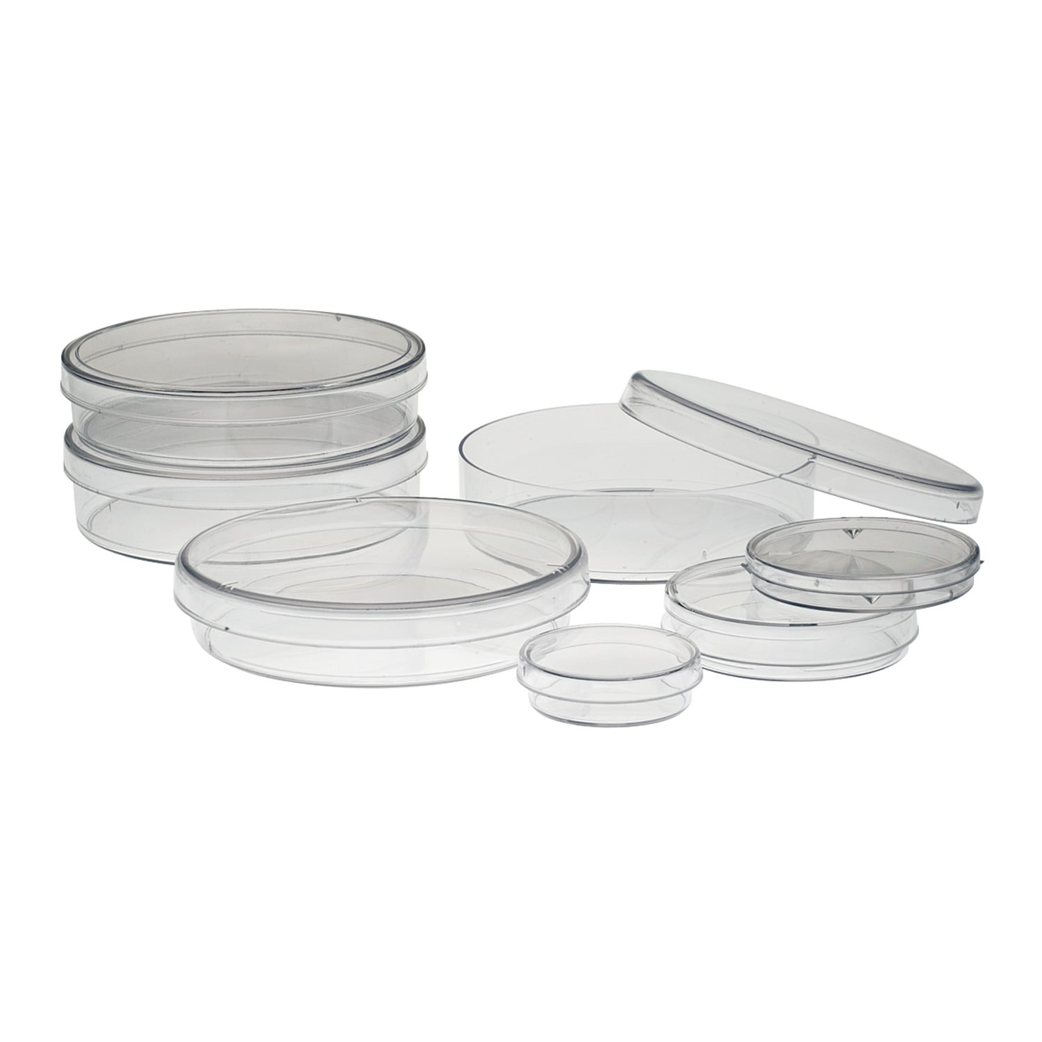 Simport Petri Dish