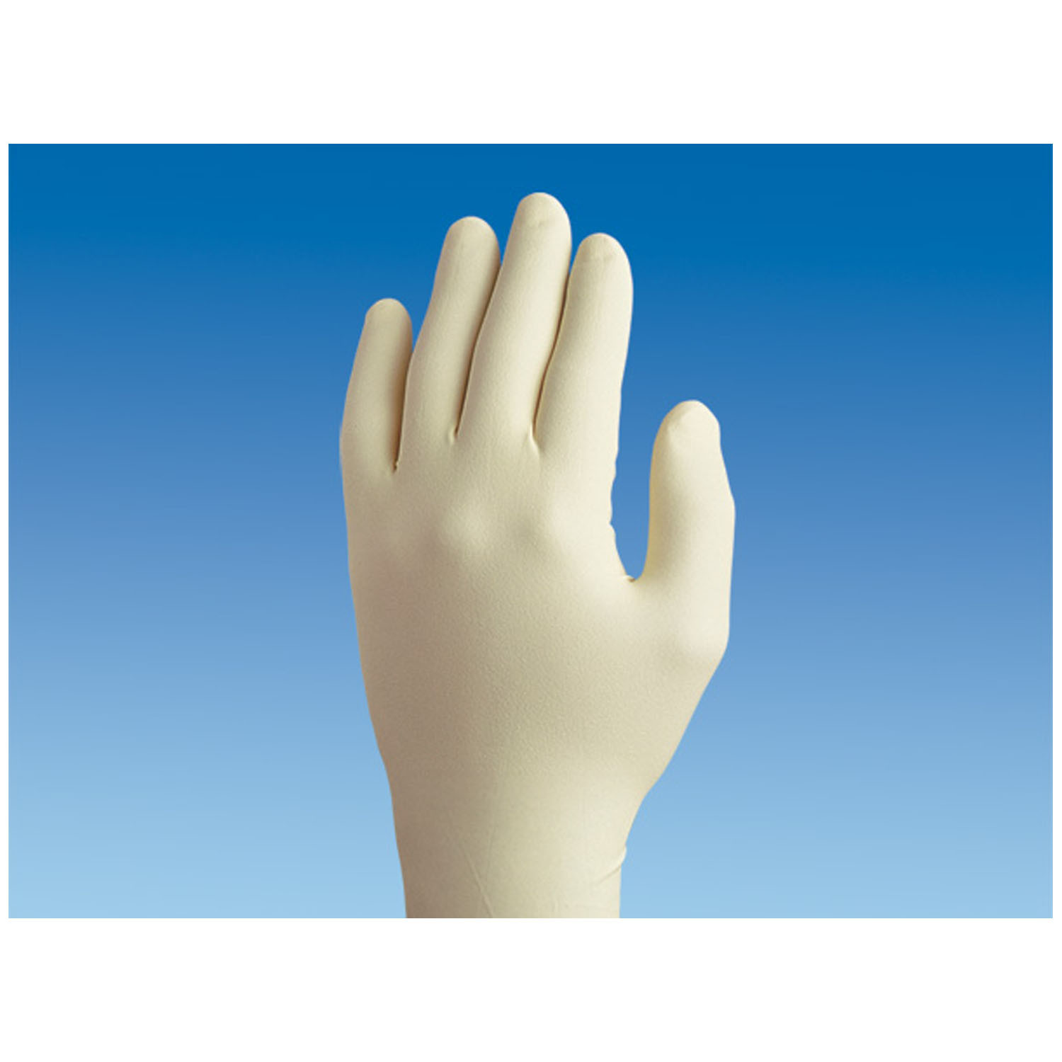 Latex free and powder free gloves