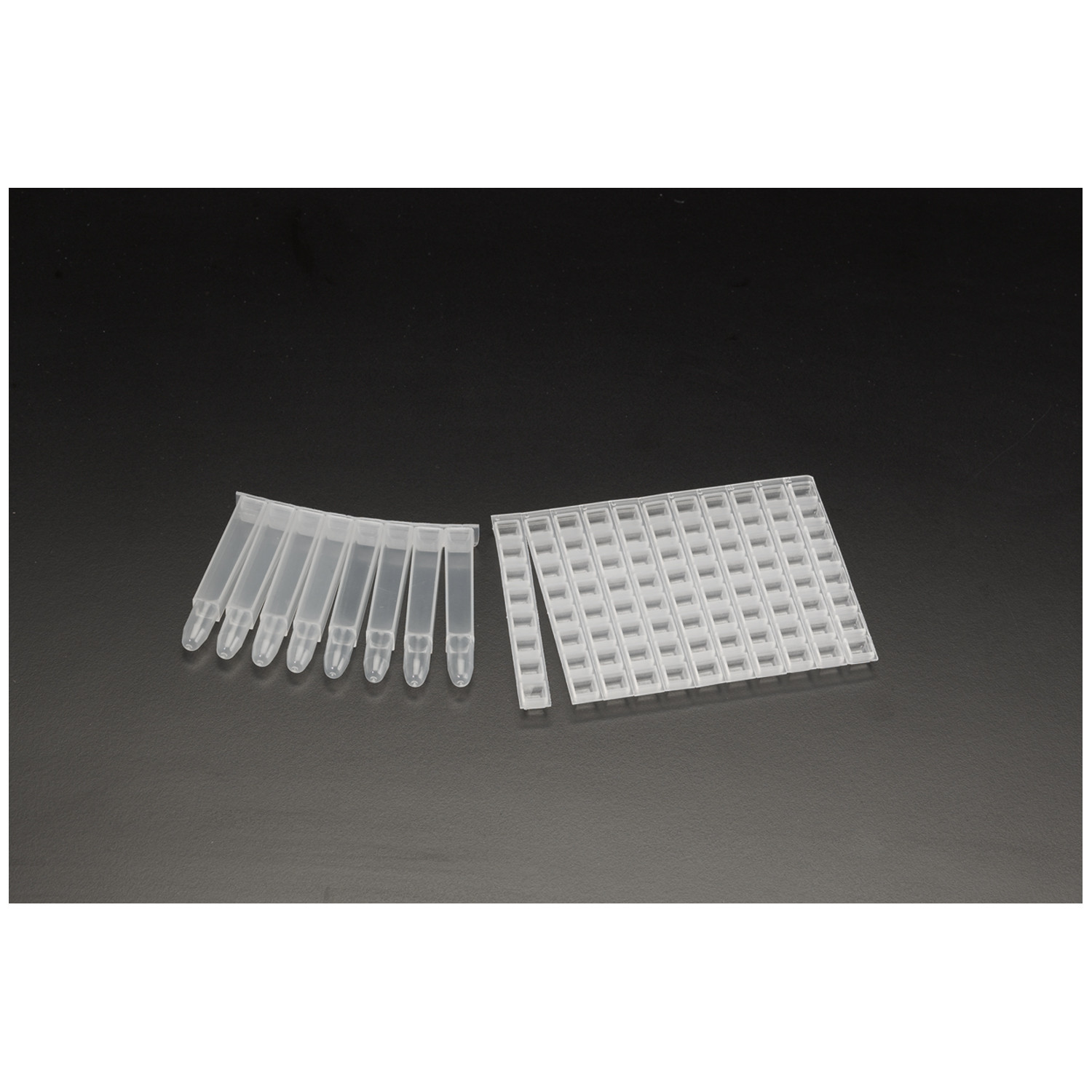 Simport Biotube Storage Racks