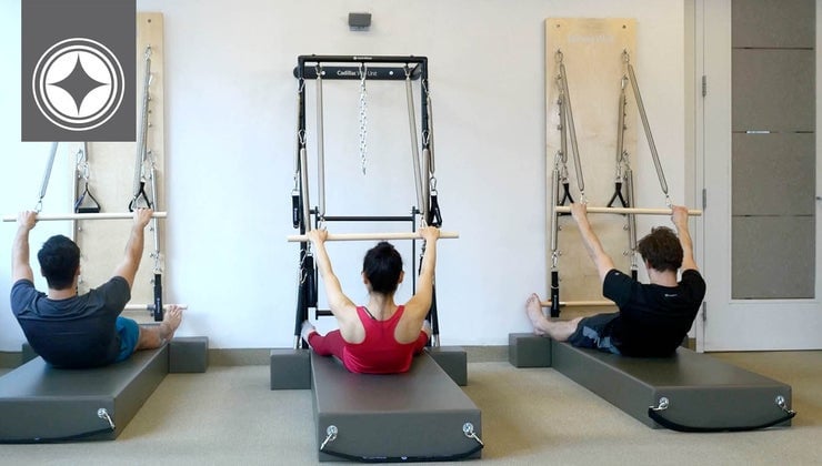 Stott Pilates Cadillac Wall Unit