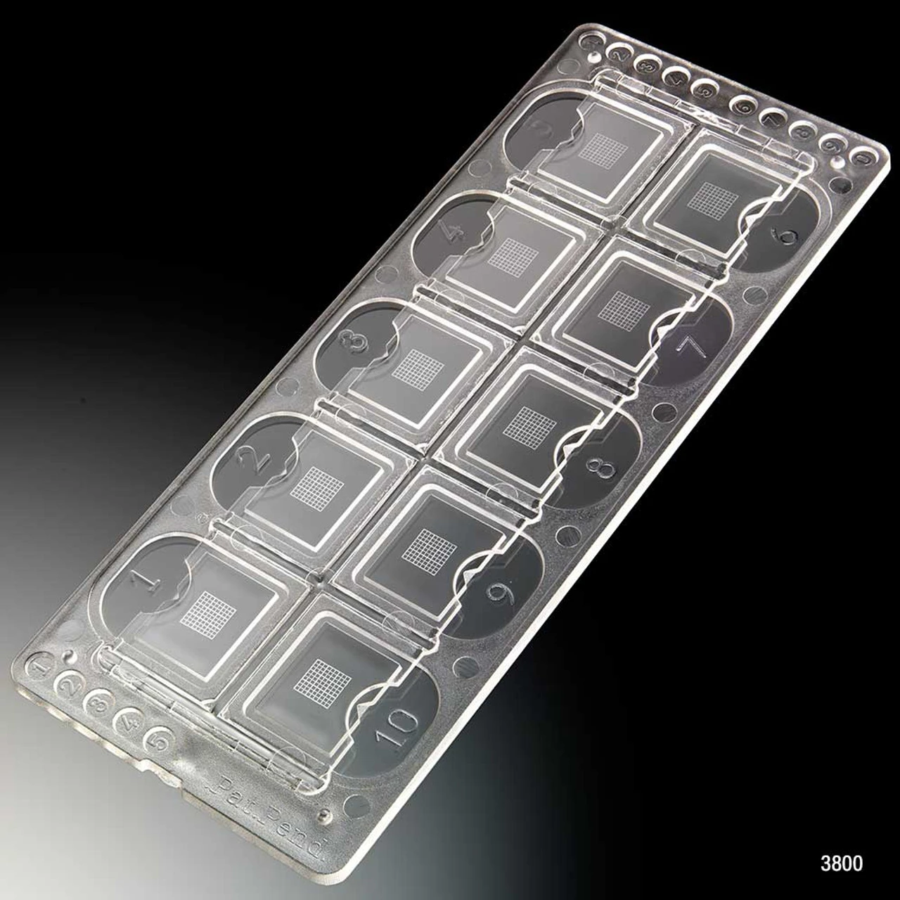 Globe Scientific Quick-Read Urinalysis Microscope Slide