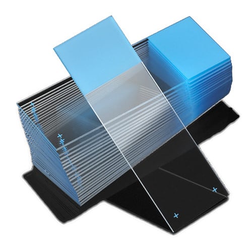Globe Scientific Classic Glass Microscope Slides