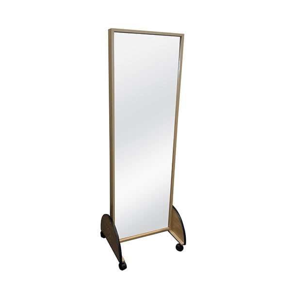 Performance Health Mirror