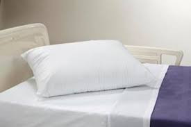 Alba Careguard Pillow