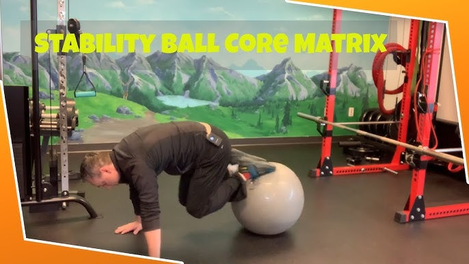 Matrix Fitness Stability Balls