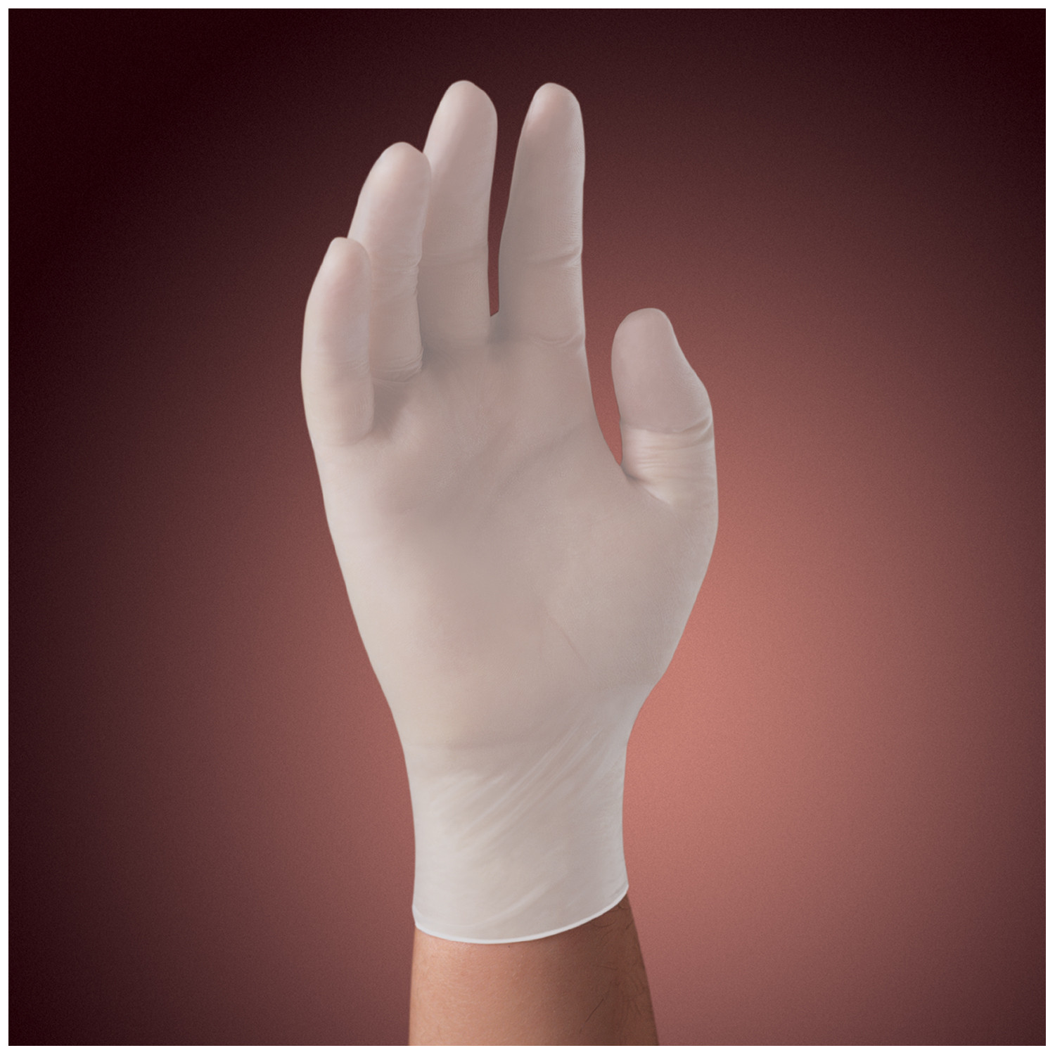 Halyard Synthetic Vinyl Gloves - Powder Free